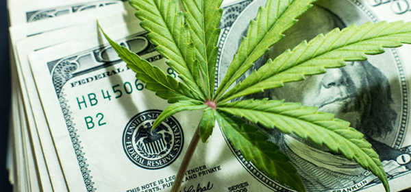 Investire in cannabis